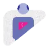 fatty liver icon